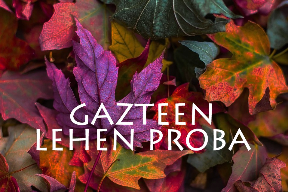 VI. Orbel Jokuetako gazteen lehen proba