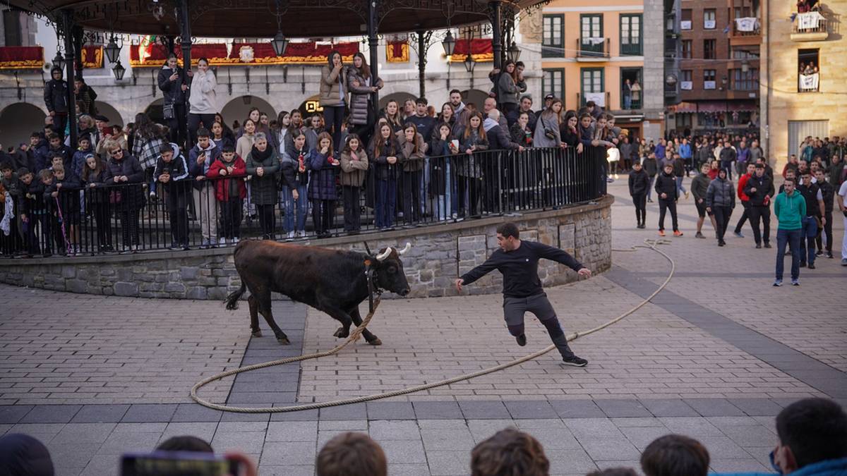 Sokamuturrik gabeko sansebastianak izango dira aurtengoak, foru aldundiak kontrakorik esan ezean