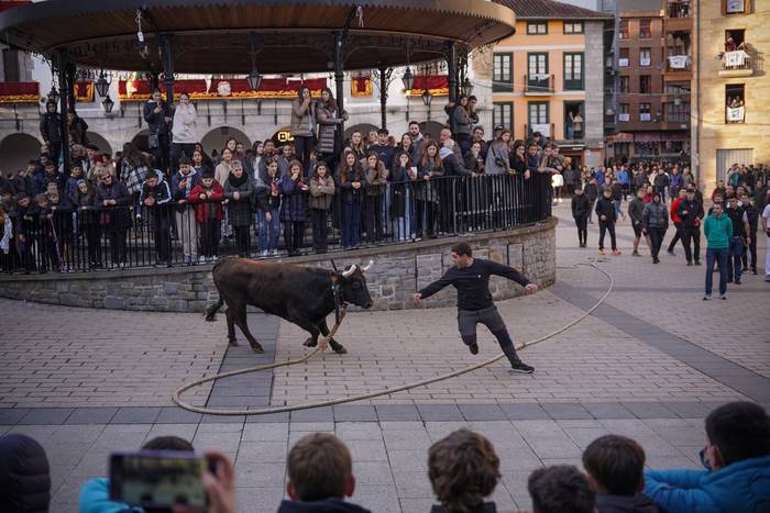 Sokamuturrik gabeko sansebastianak izango dira aurtengoak, foru aldundiak kontrakorik esan ezean