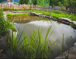 Floreaga parkean urmaela sortzen laguntzeko deia egin dute udalak eta Aranzadik