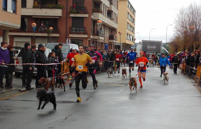 Igandean jokatuko da Zumaiako VII. Mushing Lasterketa