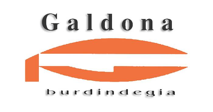 Galdona burdindegia logotipoa
