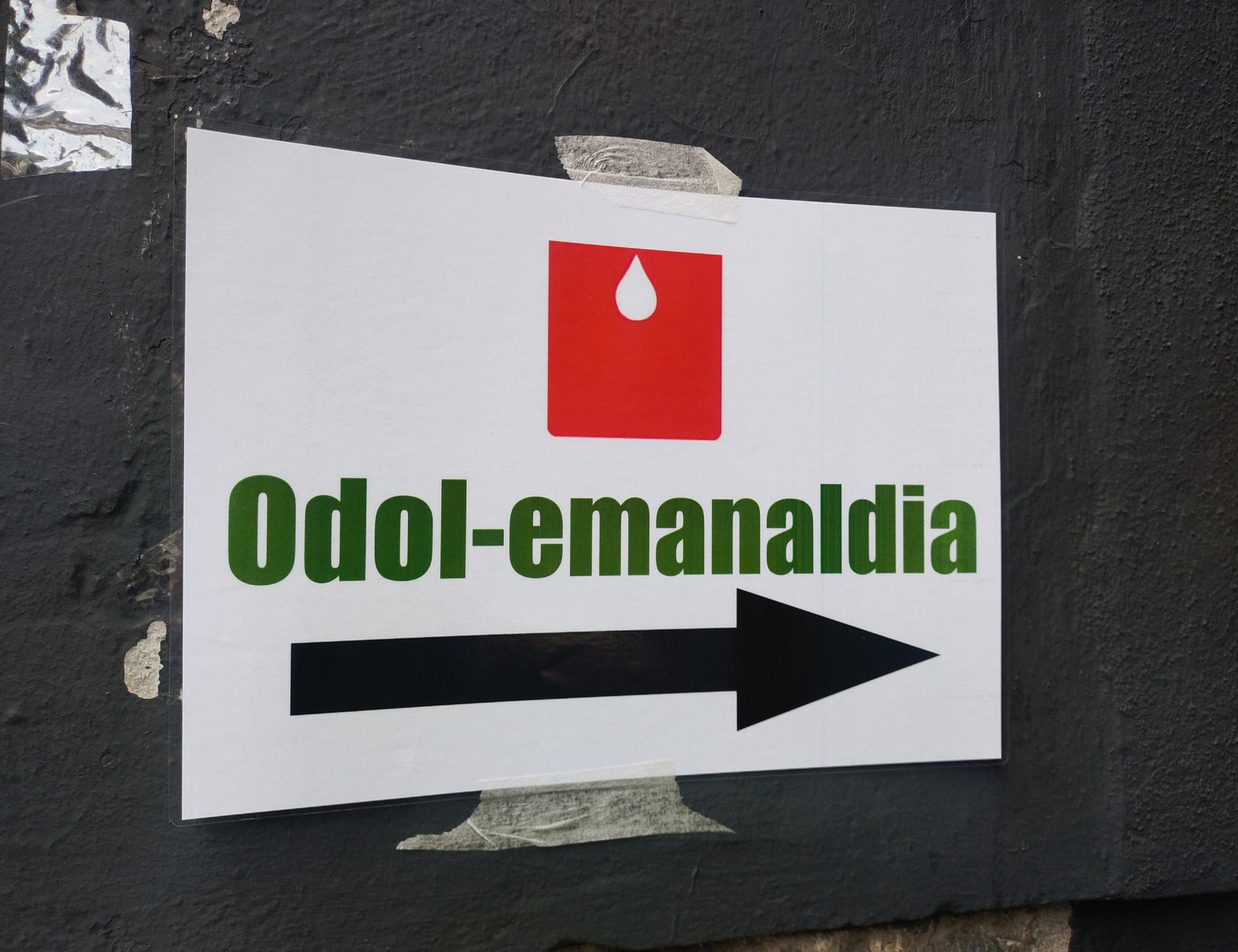 Oriok gainditu du erronka: 55 lagunek eman dute odola