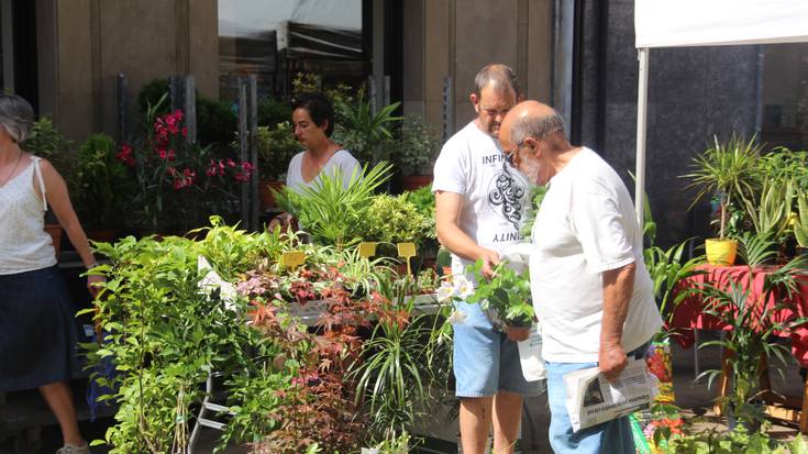 Lore eta landareek hartuko dute Zigordia kalea, abuztuaren 3an