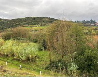 Aldundiak Ixpillako ur gezako aintzira babesteko lanak egingo ditu