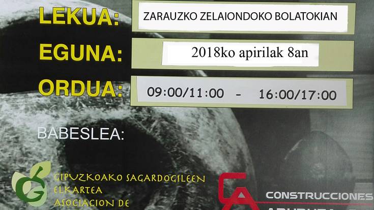 Gipuzkoako bola eta toka txapelketa jokatuko dute igandean Zelai Ondon