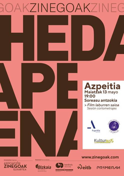 Zinema: Zinegoak