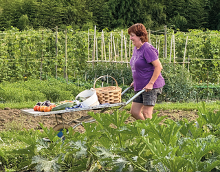 Bertatik bertara eta garaian garaikoa