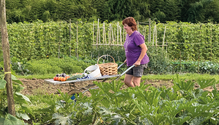 Bertatik bertara eta garaian garaikoa