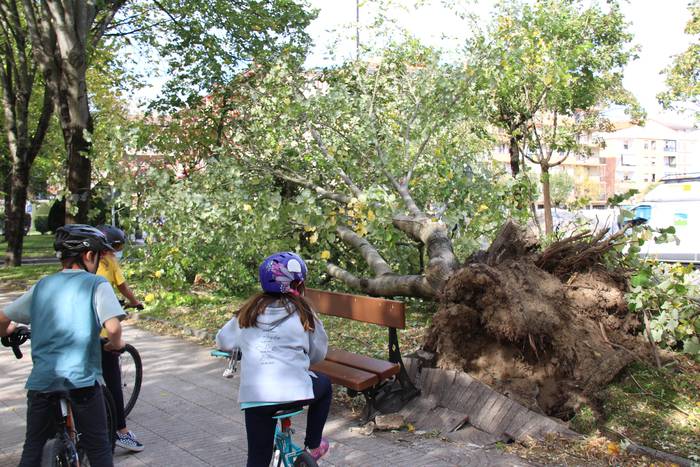 Haizeteak kalteak eragin ditu eskualdeko zenbait herritan