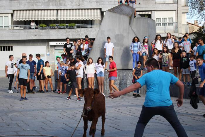 Azkoitiko Zezenzaleak: "Ahalegina egingo dugu Azkoitiak zezenzalea izaten jarrai dezan urte askotan"