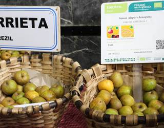 Bertako produktuak nagusi, Errezilgo Sagarraren Azokan