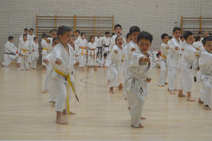 Anaitasuna Kanku karate eskolako ikasleen erakustaldia