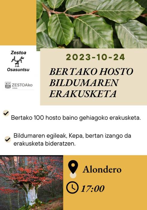 Bertako hostoen bildumaren erakusketa