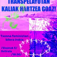 Bilera: sanpelaioetako txosna feministaren inguruko bilera irekia