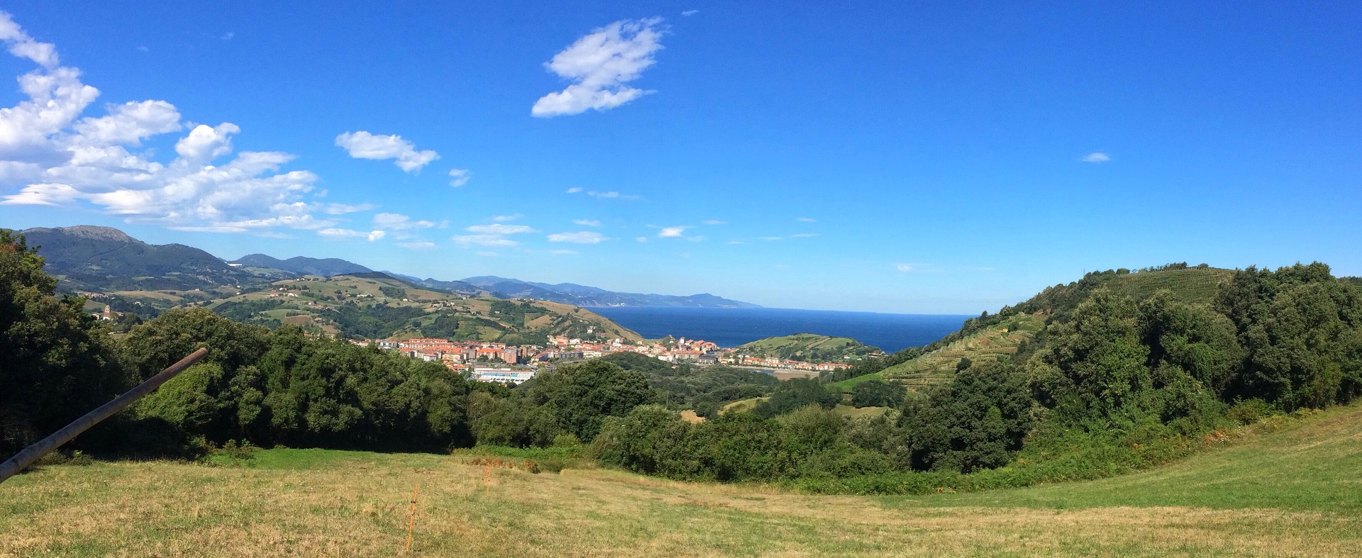 Biodibertsitatea, gizakiaren morroi?