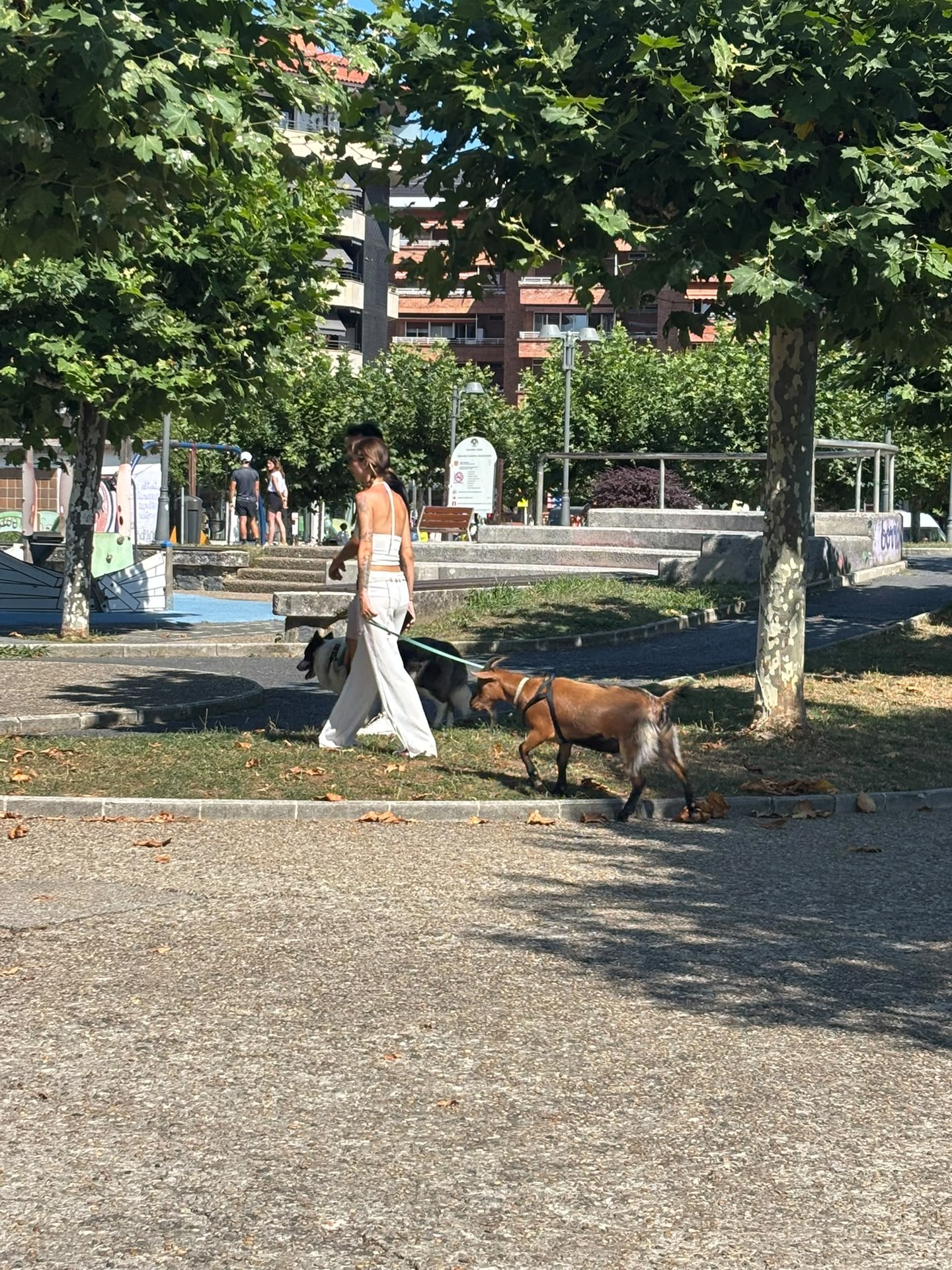 Batzuk ahuntza paseatzen, bestea erosketak zaldi gainean egiten