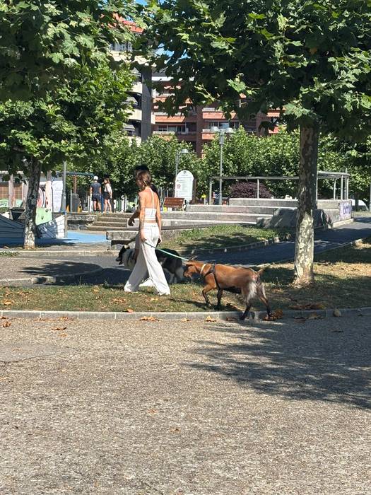 Batzuk ahuntza paseatzen, bestea erosketak zaldi gainean egiten