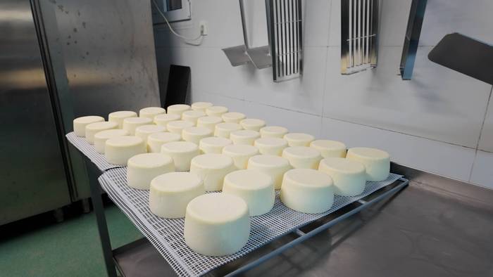 Tailerra: 'Egin zure gazta!'