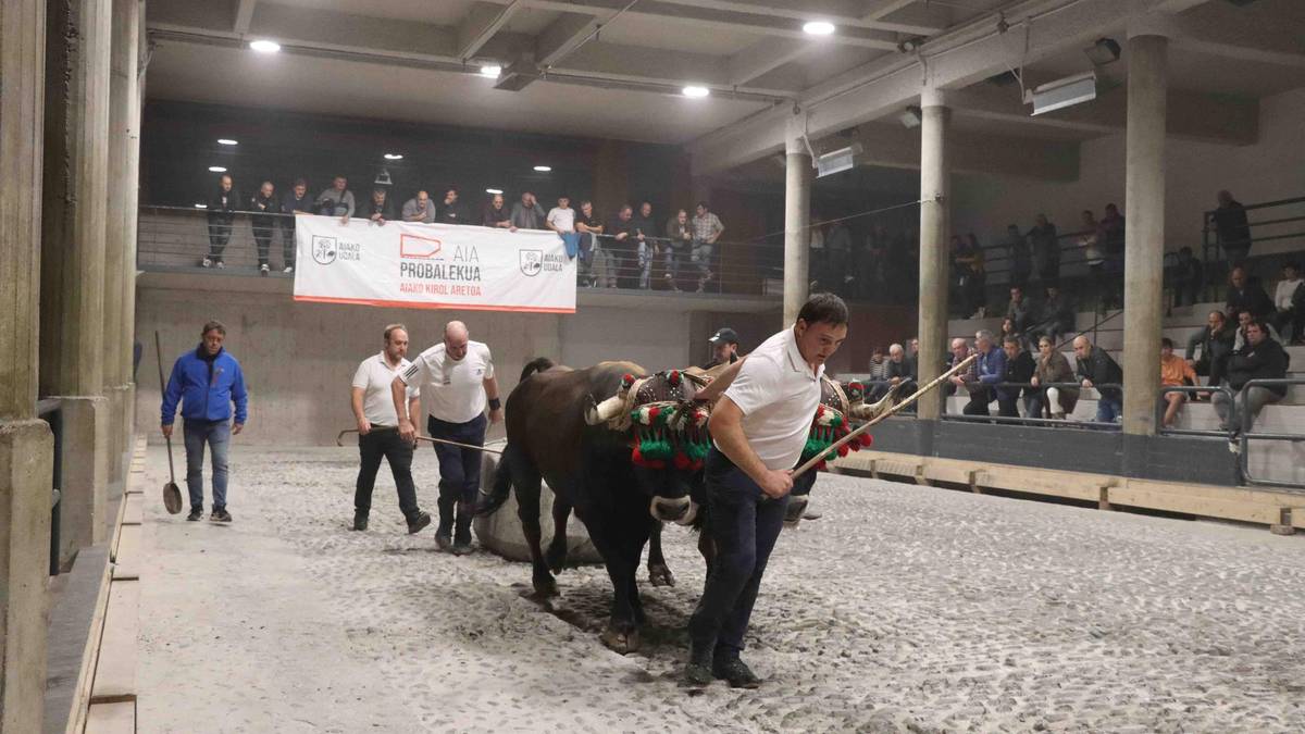 Bertan behera gelditu dira Aiako Udaberri Saria kintopeko idi probak