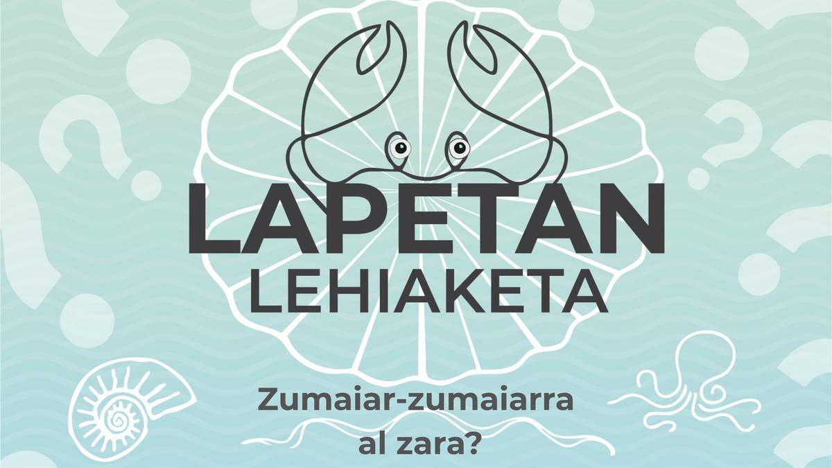 Leire Valerok irabazi du Lapetan online lehiaketa