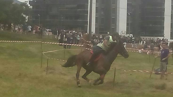 Mendexan jokatuko den zaldi lasterketan izango dira bihar Motxanekua elkarteko bi kide