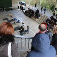 Sansebastianak Urtetan