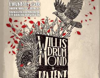 Willis Drummond + Delient