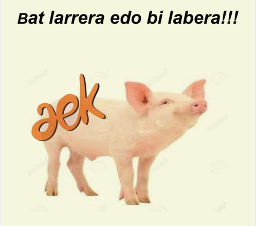 AEK-ko zozketaren zenbaki sariduna
