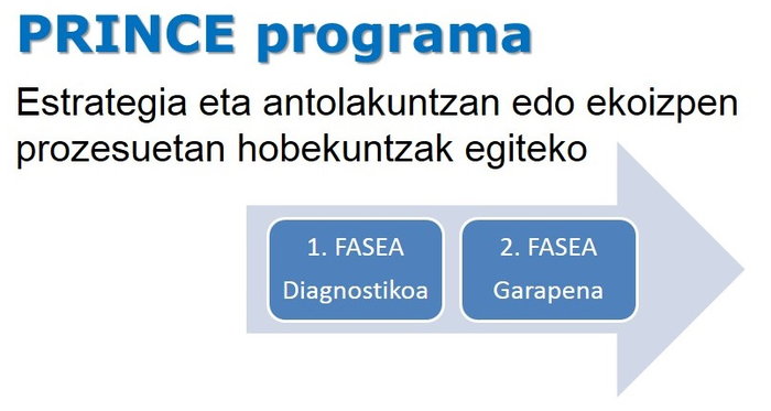 Enpresen lehiakortasuna hobetzeko programa, martxan