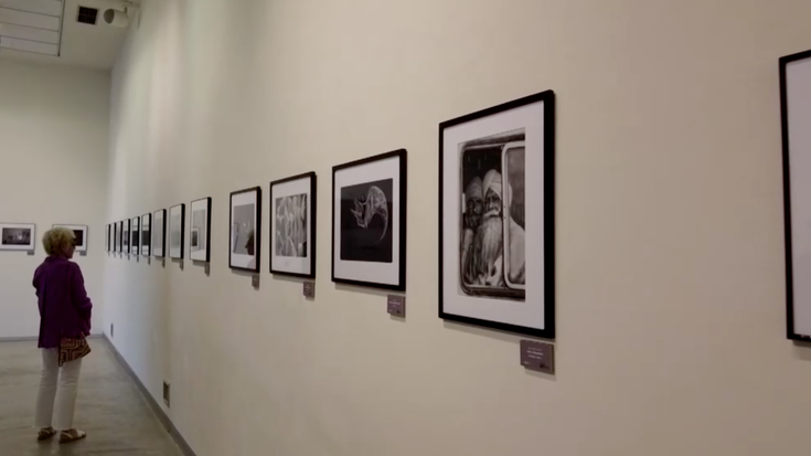 Hilaren 15era arte aurkez daitezke lanak Zumaiako Argazki Lehiaketara