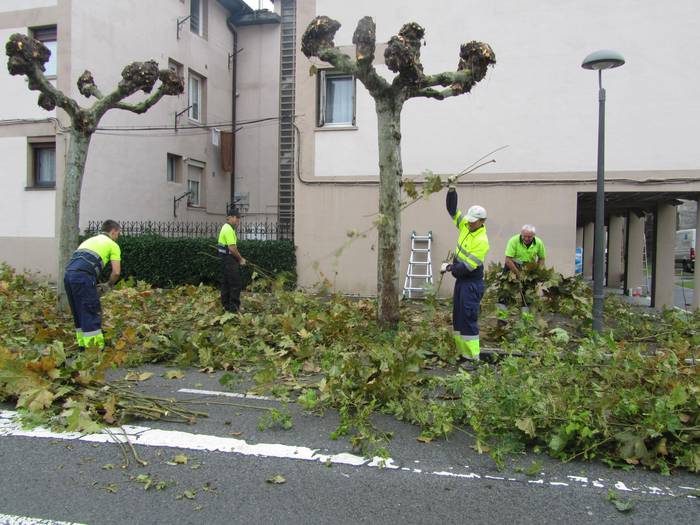 [HARA!] 50.000 kilo jasoko dituzte Zarautzen bananondoak kimatuta