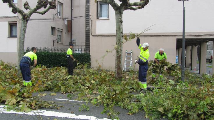 [HARA!] 50.000 kilo jasoko dituzte Zarautzen bananondoak kimatuta