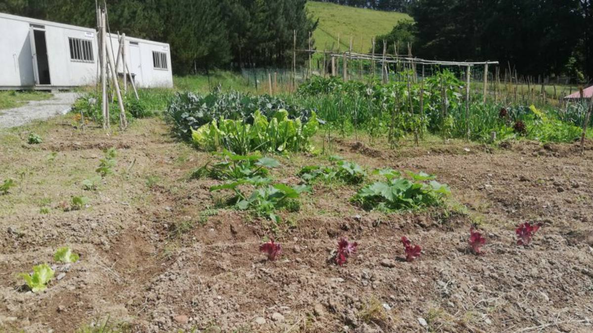 Zabalik da Zumaiako udal baratzeak erabiltzeko eskaerak egiteko epea