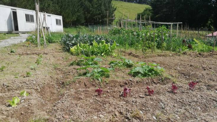 Baratzeko izurriei buruzko tailerra izango da astelehenean Keretxudin