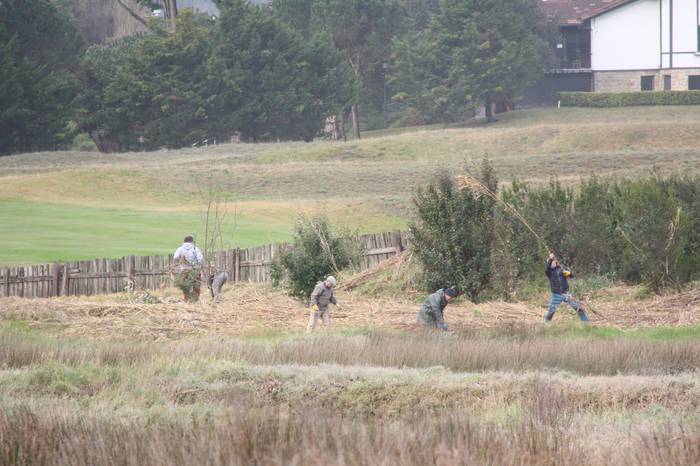 Iñurritzako kanaberak jasotzeko hitzordua jarri dute larunbaterako