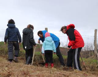 Zuhaitz landaketa egingo dute Aian otsailaren 28an