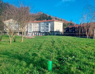 Herriok eta udaleko lorezaintza enpresak 41 arte landatu dituzte herriko hainbat gunetan