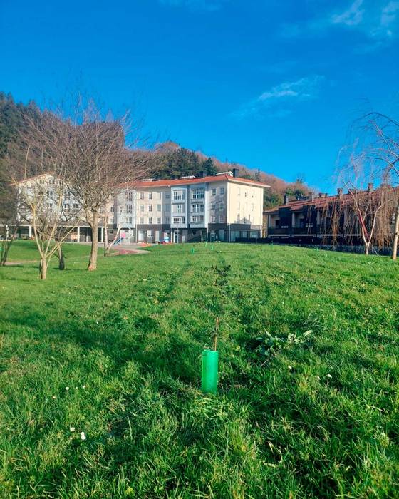 Herriok eta udaleko lorezaintza enpresak 41 arte landatu dituzte herriko hainbat gunetan