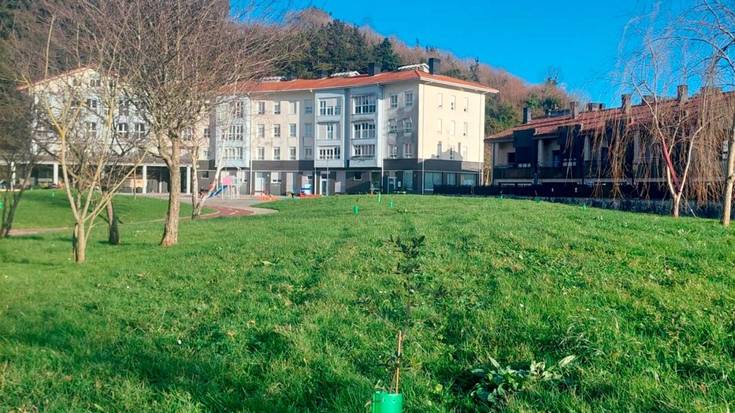 Herriok eta udaleko lorezaintza enpresak 41 arte landatu dituzte herriko hainbat gunetan