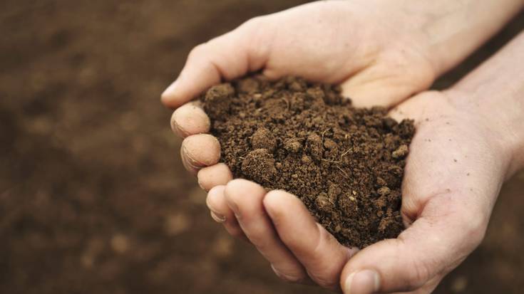 Bertso sorta: 'Burua landu'