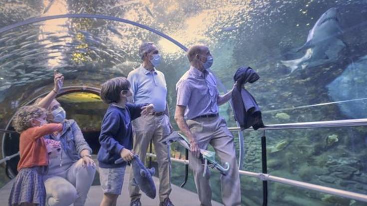 Donostiako Aquariumerako sarrerak