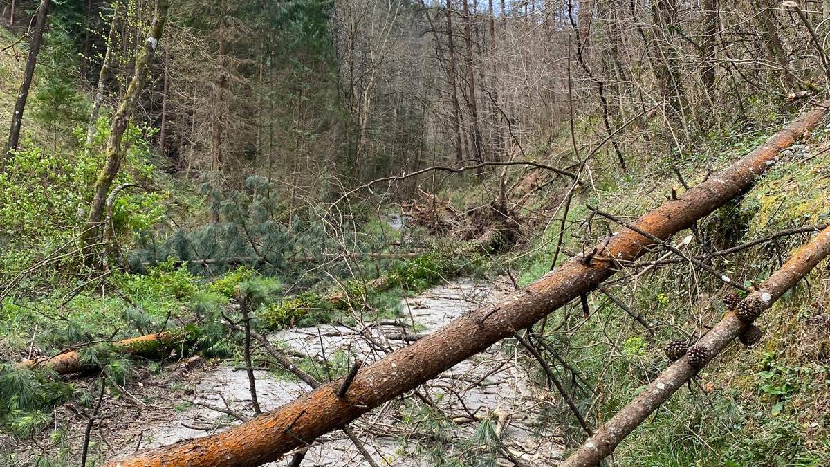 Uholdeen eta haizeteen aurrean jarduteko larrialdi plana azalduko du udalak etzi
