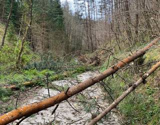 Uholdeen eta haizeteen aurrean jarduteko larrialdi plana azalduko du udalak etzi