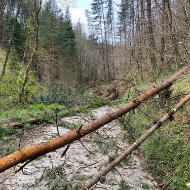 Uholdeen eta haizeteen larrialdi planaren aurkezpena