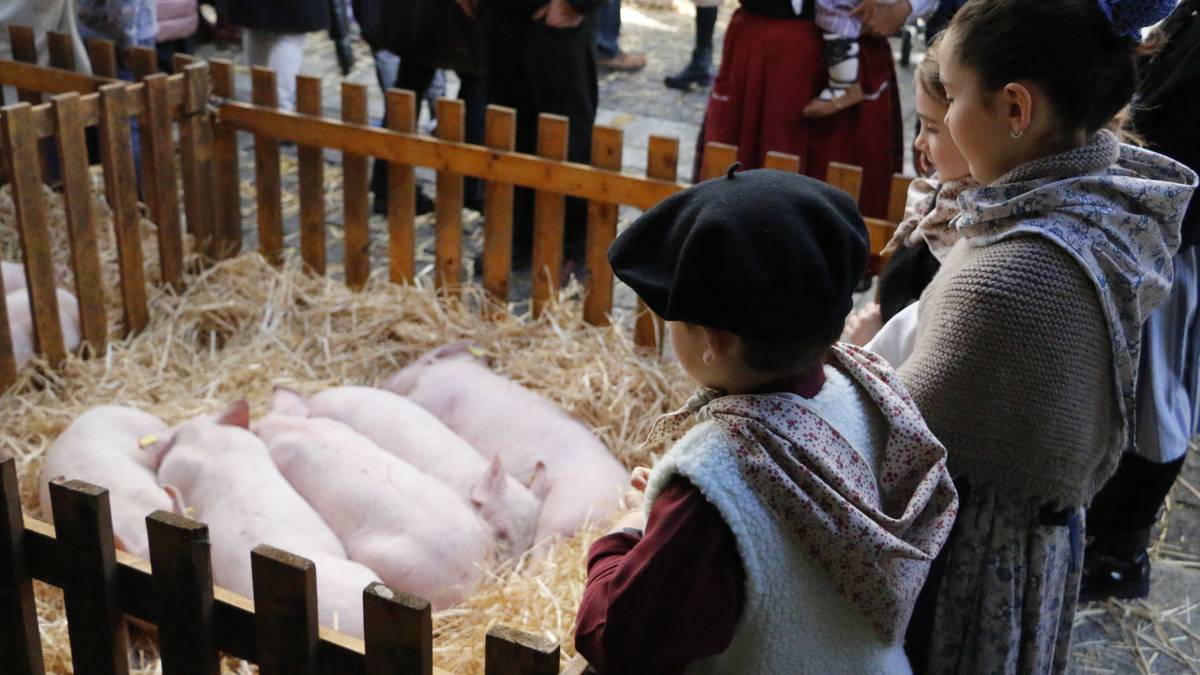 Animaliarik gabeko sanandresak izango dira aurtengoak