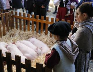 Animaliarik gabeko sanandresak izango dira aurtengoak