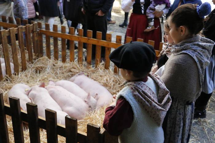 Animaliarik gabeko sanandresak izango dira aurtengoak