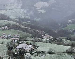 Urteko lehen elurtea iritsi da Aiara