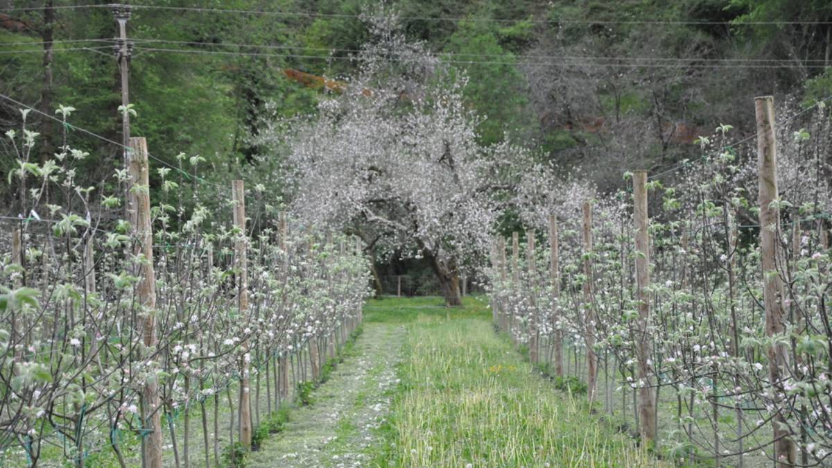 Urola Turismoak prest du irteera gidatuen aurtengo egitaraua